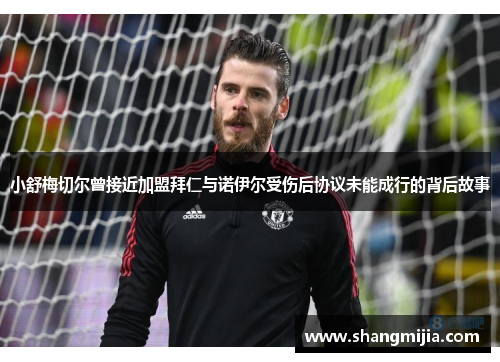 小舒梅切尔曾接近加盟拜仁与诺伊尔受伤后协议未能成行的背后故事 小舒梅切尔曾接近加盟拜仁与诺伊尔受伤后协议未能成行的背后故事