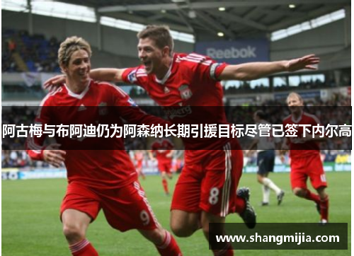 阿古梅与布阿迪仍为阿森纳长期引援目标尽管已签下内尔高