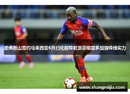 柔佛新山签约马来西亚6月归化前锋若昂菲格雷多加强锋线实力 柔佛新山签约马来西亚6月归化前锋若昂菲格雷多加强锋线实力