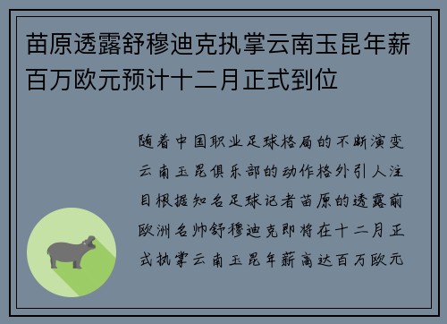 苗原透露舒穆迪克执掌云南玉昆年薪百万欧元预计十二月正式到位 苗原透露舒穆迪克执掌云南玉昆年薪百万欧元预计十二月正式到位
